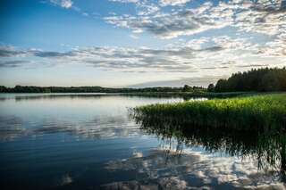 Фото Фермерские дома Zielna Farma г. Blanki